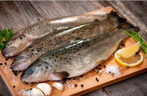 ماهی‌های محلی و دریایی