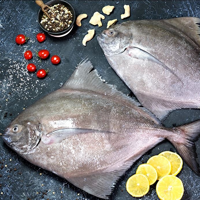 تخفیف‌های ویژه و پیشنهادات فصلی