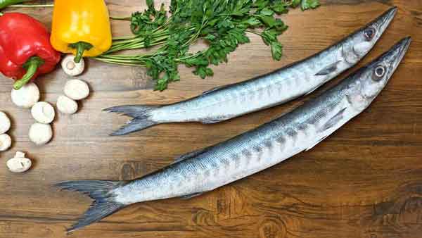 ویژگیهای ماهی فروشی خلیل در خرمشهر