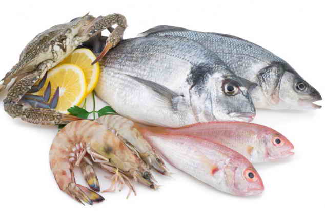 فروش سایر محصولات دریایی